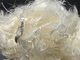 Weißes Polyphenylensulfid 2D 51MM für Gewebe