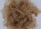 Lackieren Sie gefärbte Kaffee-Farb-Polyester-Spinnfaser aufbereitetes 1.5D*38MM